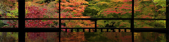 Autumn in Kyoto2
